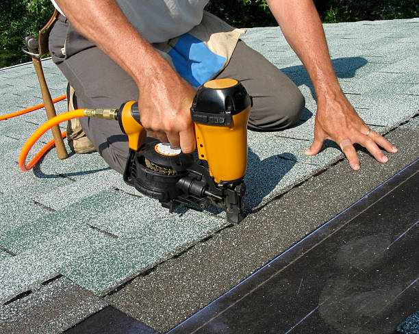 Best Storm Damage Roof Repair  in Clayton, AL